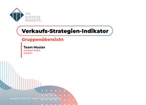 Musterbericht_Verkaufs-Strategien-Indikator_VSI3_Gruppenübersicht_de